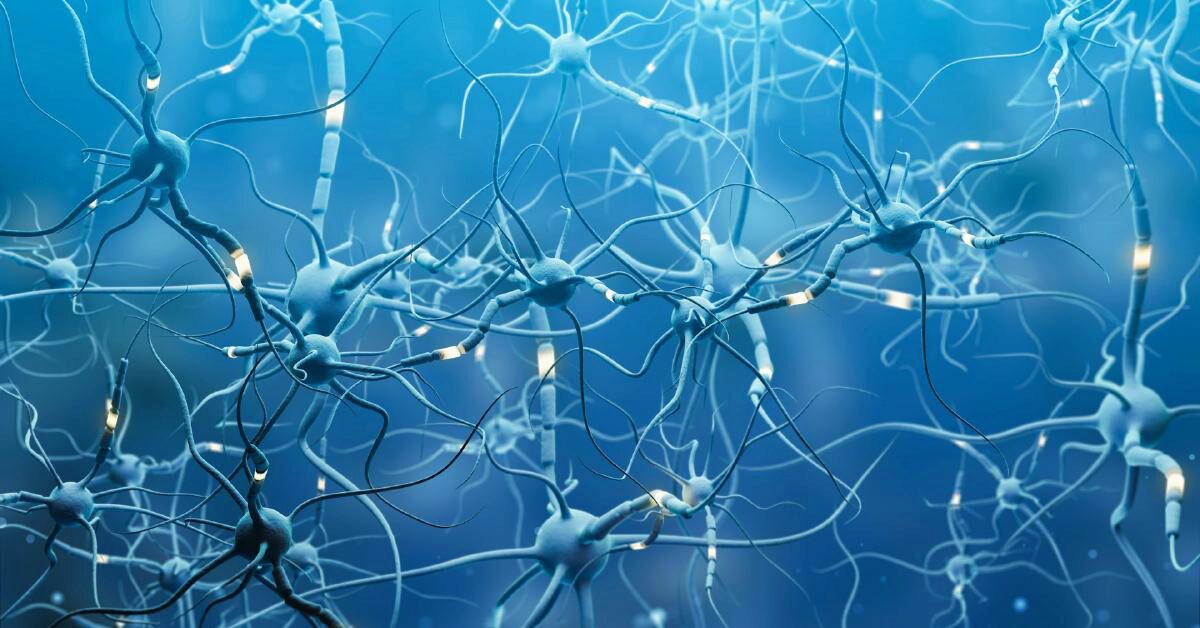 Brain Regeneration Observatory