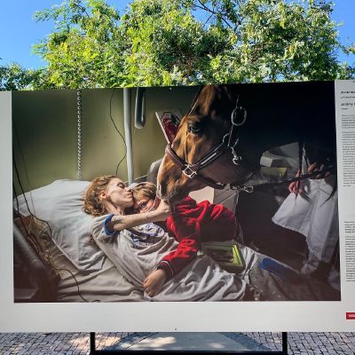Animal Assisted Therapy #worldpressphoto