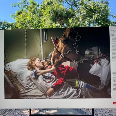 Animal Assisted Therapy #worldpressphoto