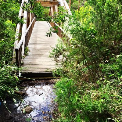 Bridge to nowhere #wooden #bridge