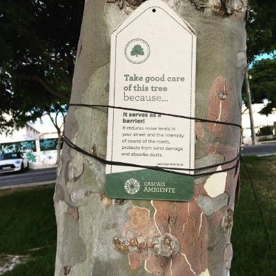 Care green