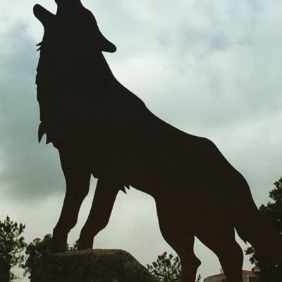 Howl at the moon
