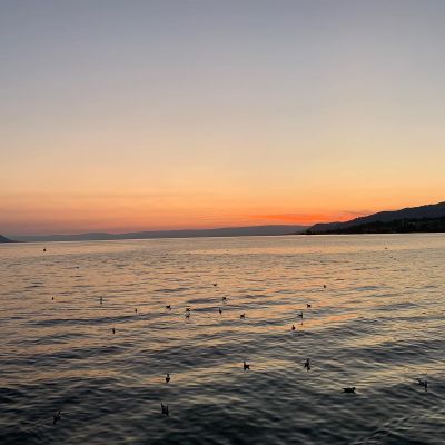 Lake twilight  #nofilter #twilight #switzerland #lake #ducks