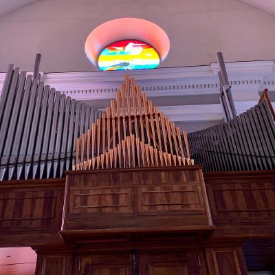 Synesthesia. Do you hear music?  #musicinstrument #pipeorgan