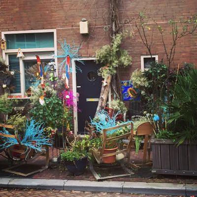 Urban garden