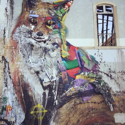 Wallfox