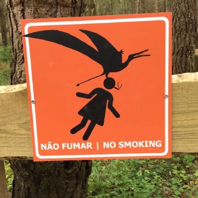You have been warned... #nofilter #dinosaurs